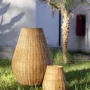 Saona 30